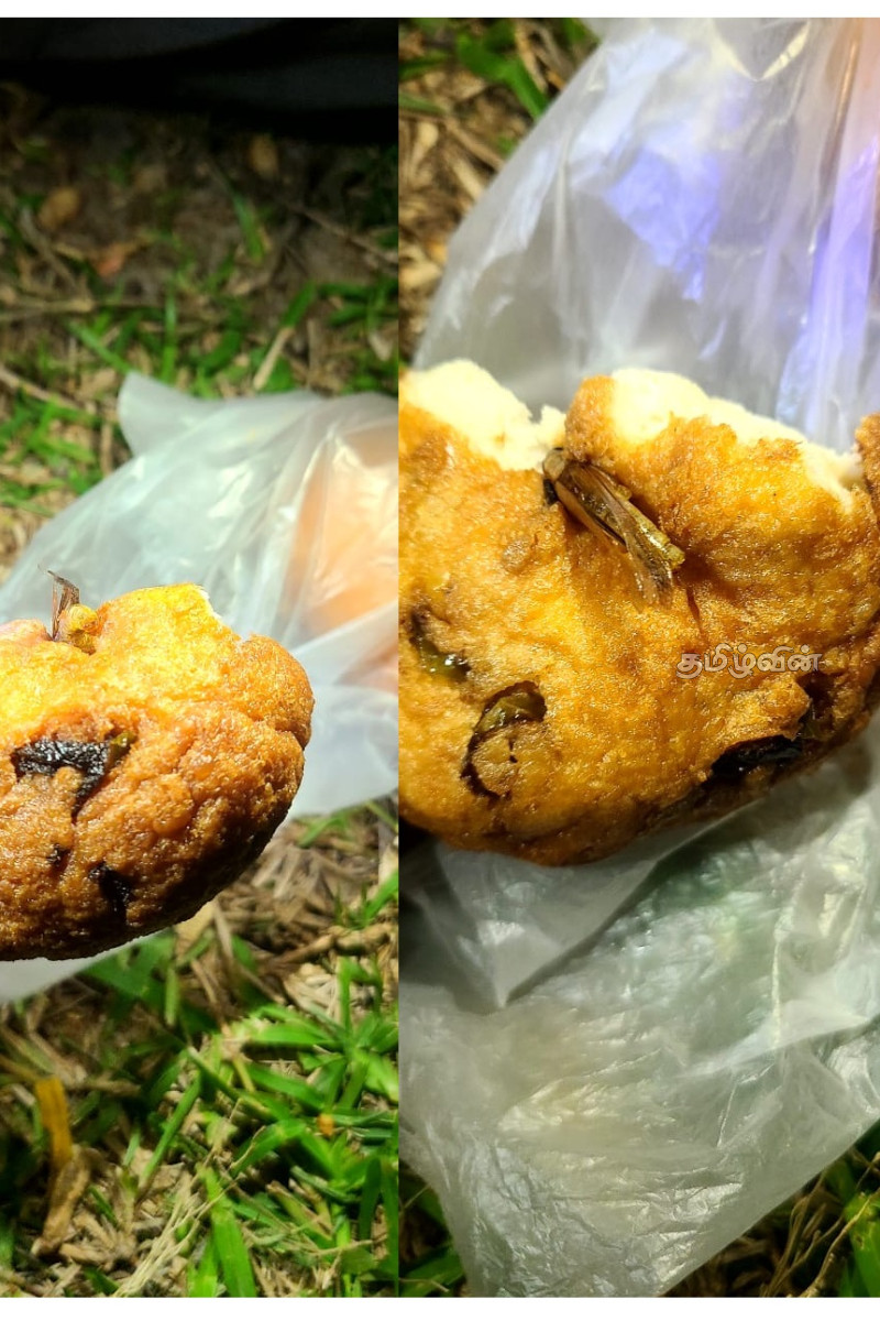 மன்னாரில் பிரபல உணவகத்தில் வாங்கிய வடையில் வெட்டுக்கிளி..! | Grasshopper Found In Vadai In Mannar