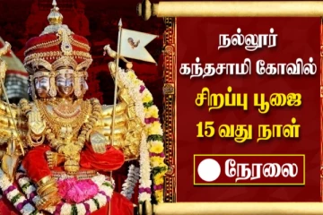 யாழ்பாணம் நல்லூர் கந்தசாமி கோவில் சிறப்பு பூஜை - நேரலையில் சிறப்பான தரிசனம்