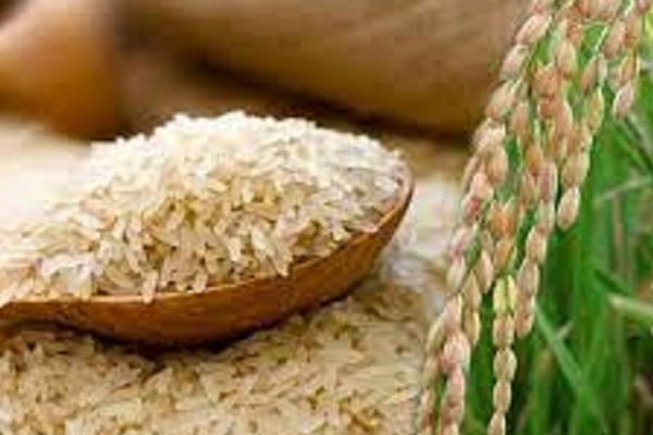அடுத்த மாதம் முதல் அரிசி விலை அதிகரிக்குமா? | Will The Price Of Rice Increase From Next Month