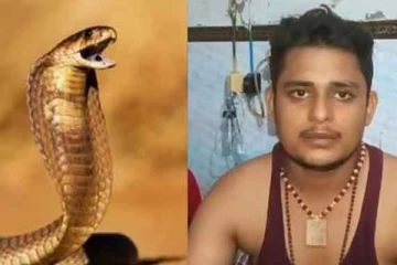 கடந்த 40 நாளில் 7 முறை பாம்பு கடிக்கு உள்ளான இளைஞன்: தேடி வந்து கடிக்கும் வினோதம்