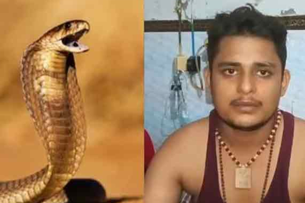கடந்த 40 நாளில் 7 முறை பாம்பு கடிக்கு உள்ளான இளைஞன்: தேடி வந்து கடிக்கும்  வினோதம் - ஐபிசி தமிழ்