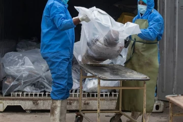 கோவிட் தொற்றால் மேலும் 19 பேர் பலி