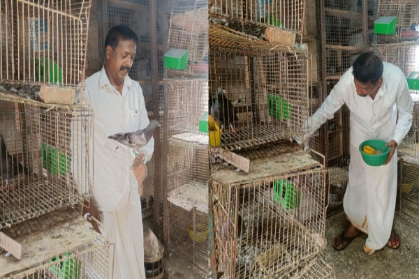 சென்னை 