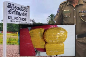 கிளிநொச்சியில் கஞ்சா மற்றும் மோட்டார் சைக்கிள்கள் மீட்பு : சந்தேக நபர்கள் தப்பியோட்டம்!