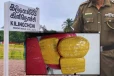 கிளிநொச்சியில் கஞ்சா மற்றும் மோட்டார் சைக்கிள்கள் மீட்பு : சந்தேக நபர்கள் தப்பியோட்டம்!