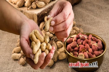 ஒரு நாளைக்கு எத்தனை வேர்க்கடலை சாப்பிடலாம்? யாரெல்லாம் சாப்பிடக்கூடாது?