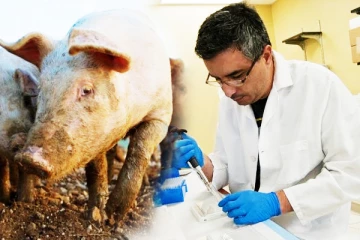 பிரித்தானியாவில் புதிய வகை வைரஸ்: பொதுமக்களுக்கு எச்சரிக்கை