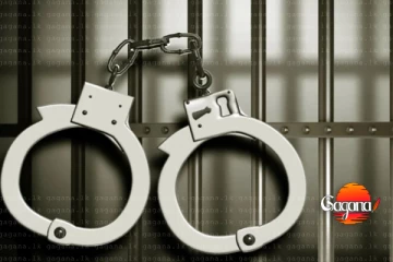 ජල මණ්ඩලයේ අතිරේක සාමාන්‍යාධීකාරි ඇතුළු දෙදෙනා රිමාන්ඩ් - හේතුව මෙන්න