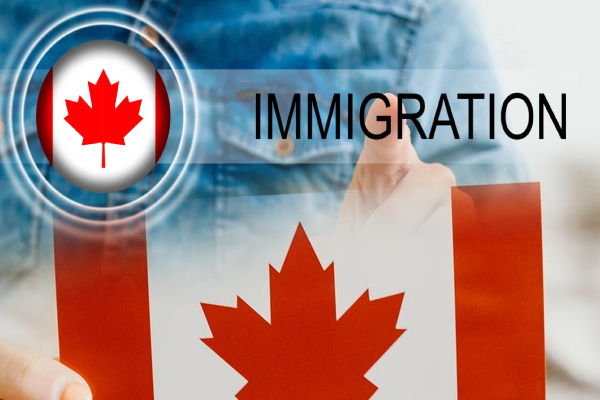 கனடாவின் தற்காலிக குடியிருப்பாளர் வீசாக்கள் தொடர்பில் விசேட நடவடிக்கை | Mmigration Temporary Residents Canada Issue கனடாவின் தற்காலிக குடியிருப்பாளர் வீசாக்கள் தொடர்பில் விசேட நடவடிக்கை | Mmigration Temporary Residents Canada Issue