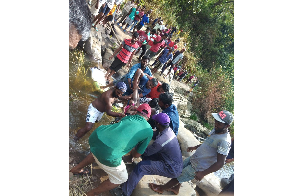 விறகு தேடச் சென்ற இளைஞன் நீரில் மூழ்கி பலி - நுவரெலியாவில் சோகம் | A Young Man Died By Drowning