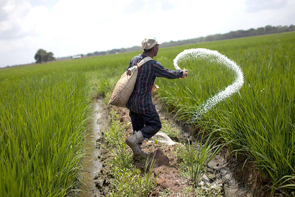 கிளிநொச்சி விவசாயிகளுக்கான மகிழ்ச்சித் தகவல்! | Happy News For Kilinochchi Farmers