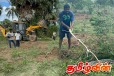 புதுக்குடியிருப்பு மந்துவில் தோட்டக்காணியில் பிடிக்கப்பட்டுள்ள மலைப்பாம்பு
