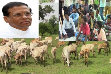 மைத்திரியின் திட்டமிட்ட சதி - வாழ்வுக்காக போராடும் தமிழர்கள்