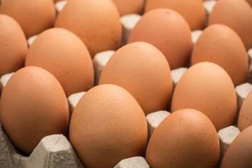 බිත්තර මිල ඉහළට..