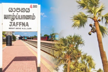 நுங்குக்காக பனை மரம் ஏறிய குடும்பஸ்தருக்கு நடந்த அவலம்!