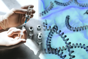 புற்றுநோயைத் தடுக்கும் பாக்டீரியா தடுப்பூசி., நோயாளிக்கு ஏற்ப மாற்றியமைக்கலாம்