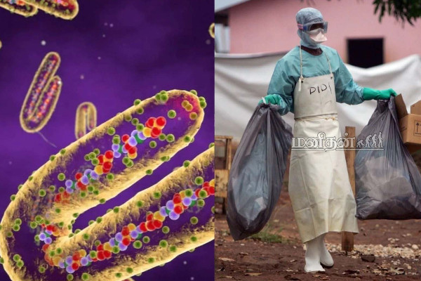 கொரோனாவை விட ஆபத்தான புதிய வைரஸ்! உலக சுகாதார அமைப்பு எச்சரிக்கை | Marburg Virus Corona Overtake In Tamil