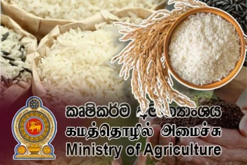 அரிசி தட்டுப்பாடு குறித்து விவசாய அமைச்சு வெளியிட்ட அறிவிப்பு