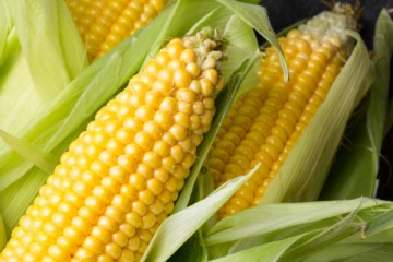 திரிபோஷ உற்பத்தி; சோளத்தை இறக்குமதி செய்ய அனுமதி