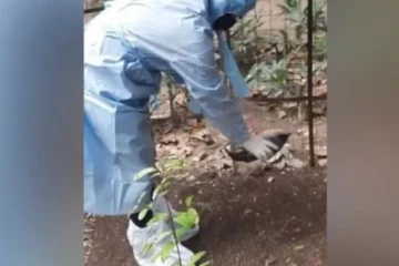 ලොව පුරා පැතිර යන වෛරසයක් ගැන ඔබ දැන ගත යුතුම දේ මෙන්න…