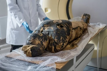 கர்ப்பிணி மம்மியை ஆய்வு செய்து மிரண்டு போன ஆராய்ச்சியாளர்கள் - அடுத்தடுத்து காத்திருந்த அதிர்ச்சி