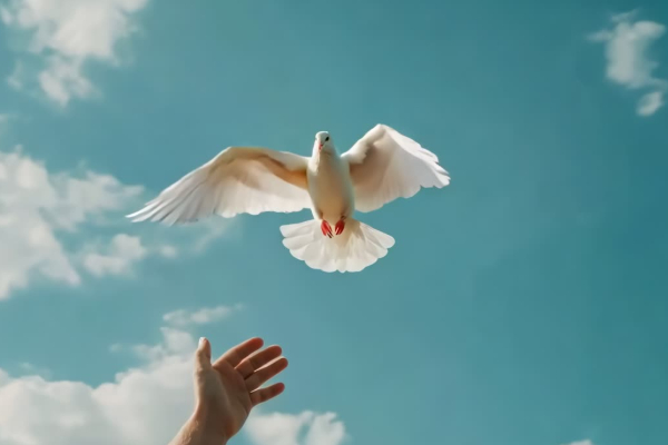 ஆன்மீகம்: ஒரு மனிதனுக்கு எப்பொழுது முழு சுதந்திரம் கிடைக்கும்? | When Will One Have Independence In Life