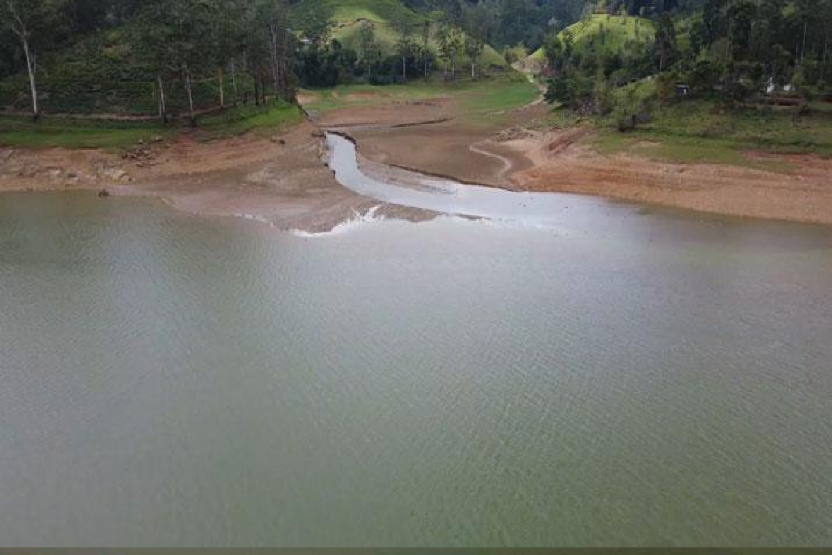 கடும் வறட்சி : விளையாட்டுமைதானமாக மாறிய நீர்த்தேக்கங்கள் | Castlereagh Island Becomes A Playground