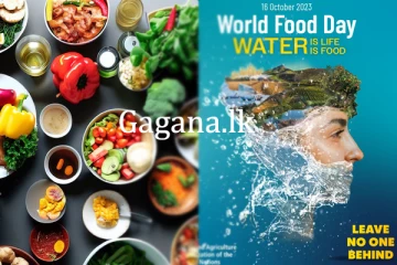 ලෝක ආහාර දිනය අදයි.