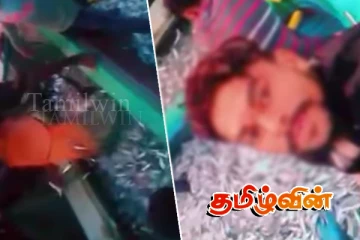 கட்டைக்காடு கடலில் ஒளி வைத்து சட்டவிரோத கடற்றொழில்: பல்லாயிரக் கணக்கான மீன் குஞ்சுகள் நாசம்