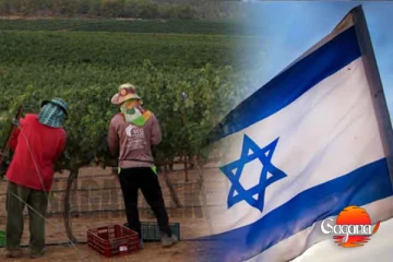 ඊශ්‍රායලයේ කෘෂි රැකියාවලට යන්න ඔයත් ඇප්ලයි කරාද? ඒක සම්පූර්ණ බොරුවක්,මෙන්න විස්තරේ