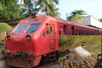 දුරකථන ඇමතුමෙන් දුම්රියේ ගැටී අවසන් ගමන් ගිය තරුණයින් දෙදෙනා..