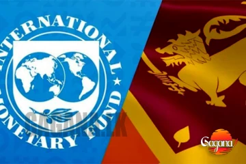 විදුලි මිලකරණය අඛණ්ඩව පවත්වා ගත යුතුයි - IMF අවධාරණය කරයි