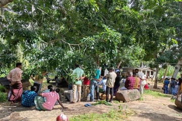 மன்னாரில் பரிதாபமாக உயிரிழந்த 15 வயது மதிக்கத்தக்க ஆண் யானை!