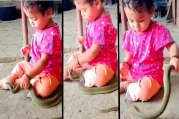 பாம்பின் நாக்கை பிடிக்க முயற்சி செய்யும் சிறுமி.. பீதி கிளம்பும் காட்சி