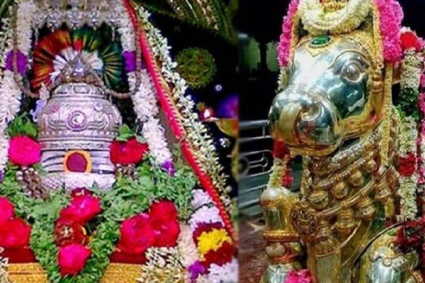 நினைத்தது நடக்க நவம்பர் 3 இந்த வழிபாடு செய்ய மறக்காதீர்கள் | 2025 November 3 Somavara Prathosham Worship