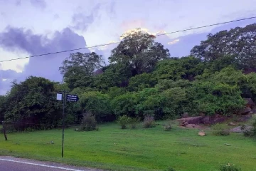 සංගමන්කන්ද කාට්ටමඩු වනාන්තරය රක්ෂිතයක් ලෙස ප්‍රකාශයට පත් කර‍යි