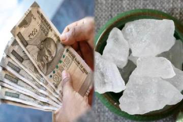 வாஸ்து: வீட்டில் இந்த ஒரு பொருளை மறைத்து வைத்தால் போதும் பணக்கஷ்டம் தீருமாம்