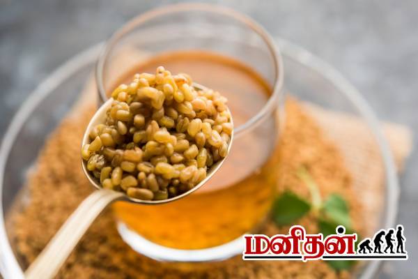 ஒல்லியான இடுப்பு வேணுமா? அப்போ வெந்தயத்தை இப்படி சாப்பிடுங்க | Fenugreek For Weight Loss In Tamil