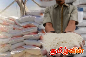 பெருந்தொகை அரிசியை இறக்குமதி செய்ய நடவடிக்கை