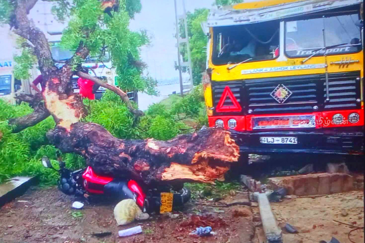 திருகோணமலையில் மரத்துடன் மோதி கனரக வாகனம் விபத்து! | Tipper Truck Crashes Into A Tree Near The Kinniya திருகோணமலையில் மரத்துடன் மோதி கனரக வாகனம் விபத்து! | Tipper Truck Crashes Into A Tree Near The Kinniya