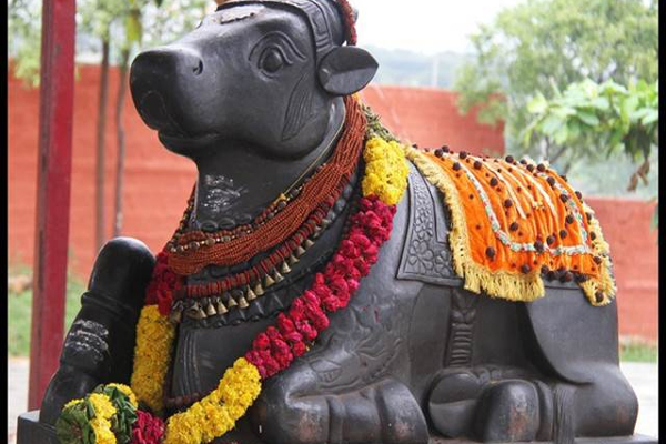 பொன்னையும் பொருளையும் அள்ளித்தரும் புதன் பிரதோஷ வழிபாடு! | Wednesday Pradosha Worship That Brings