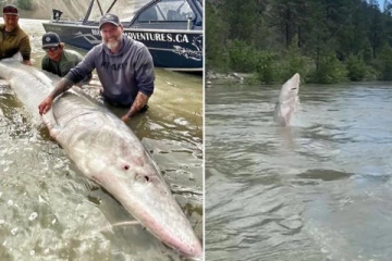 கனடாவில் 100 ஆண்டுகளுக்கு மேலாக வாழக்கூடிய மீனை பிடித்த மீனவர்கள்!