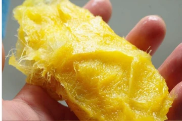 மாங்கொட்டைய இனி தூக்கி வீசிடாதீங்க...இப்படி செஞ்சா முடி காடு மாதிரி அடர்த்தியா வளரும்!