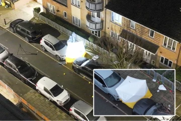 லண்டனில் அரங்கேறிய பயங்கர துப்பாக்கி சூடு: 40 வயதுடைய பெண் உயிரிழப்பு! இருவர் காயம்