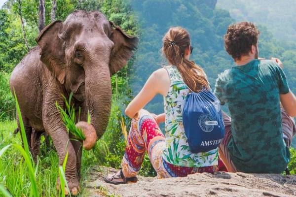 சிகிரியாவை சுற்றிப் பார்க்க வந்த பயணிக்கு நேர்ந்த கதி- தீவிரப்படுத்தப்படும் விசாரணை | Tourist Dies While Visiting Sigiriya