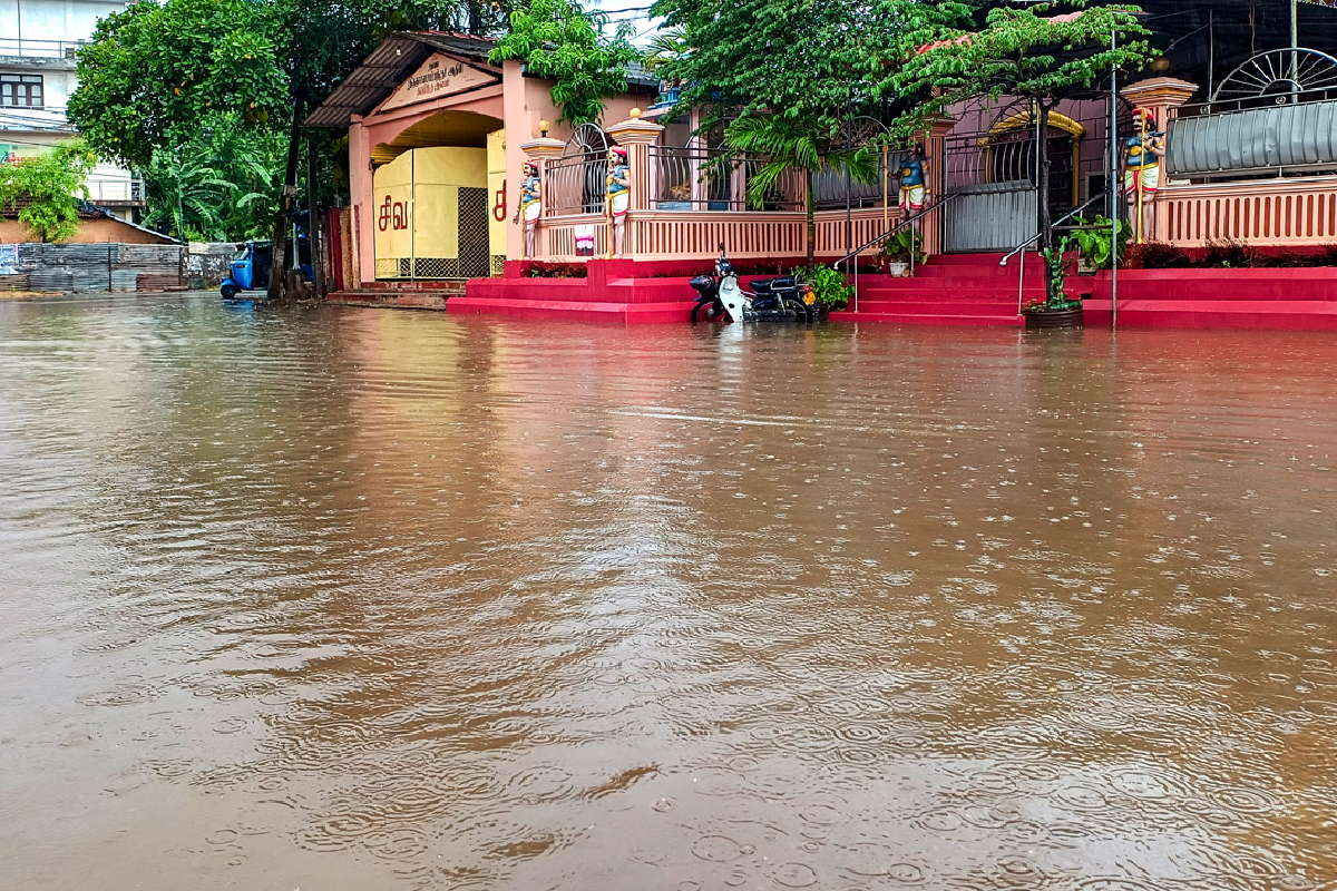 யாழில் திடீரென கொட்டித்தீர்த்த மழை; மகிழ்ச்சியில் மக்கள்! | Sudden Downpour In Jaffna People Rejoice