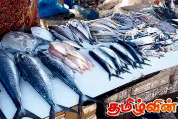 ஆயிரத்தை தாண்டிய மீன்களின் விலை! இதுதான் காரணம்