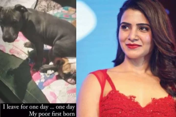 இதுதான் நடிகை சமந்தாவின் முதல் குழந்தையா?  - இன்ஸ்டா பதிவை பார்த்து அதிர்ச்சியடைந்த ரசிகர்கள்