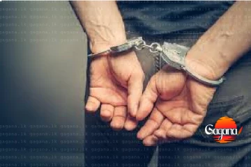 ඉන්දීය ජාතිකයින් දෙදෙනෙක් කටුනායකදී අත්අඩංගුවට