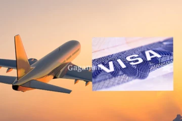 මෙන්න මේ රටට රැකියාවකට යන්න ද හිටියේ?. වීසා නිකුත් කිරිම ගැන ලැබුණ ආරංචිය මෙන්න..